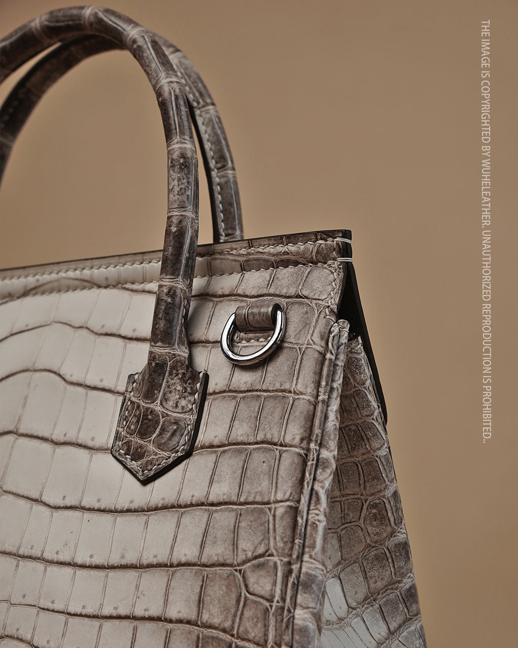 Classic Himalaya Crocodile handle Bag