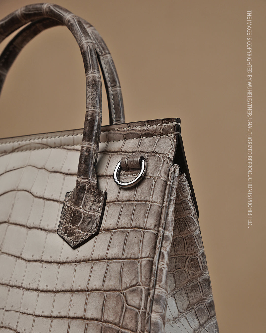 Classic Himalaya Crocodile handle Bag