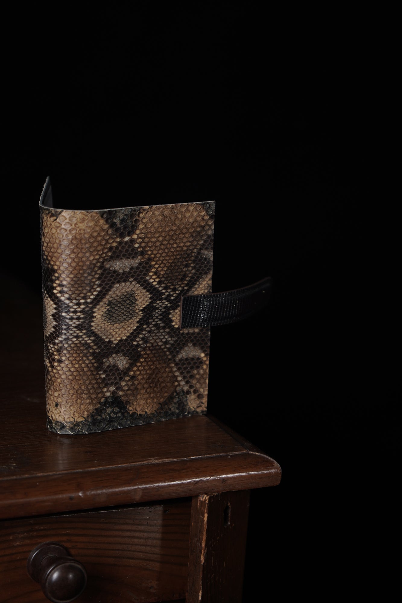 Snake skin planner